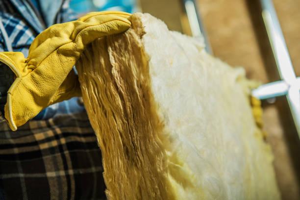 Best Insulation Installation Services in Mangonia Park, FL