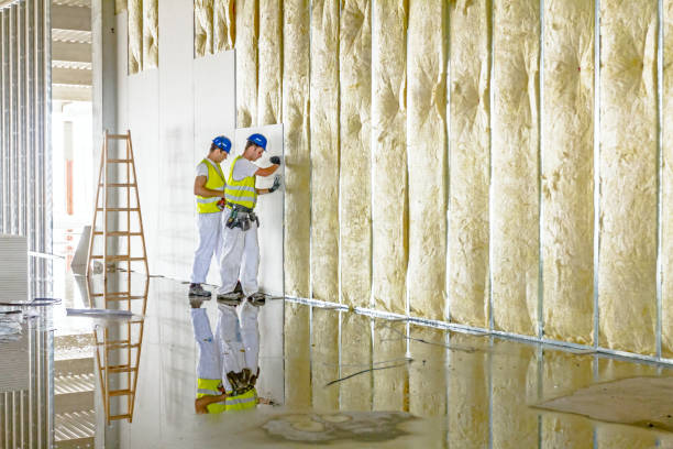 Best Residential Insulation in Mangonia Park, FL